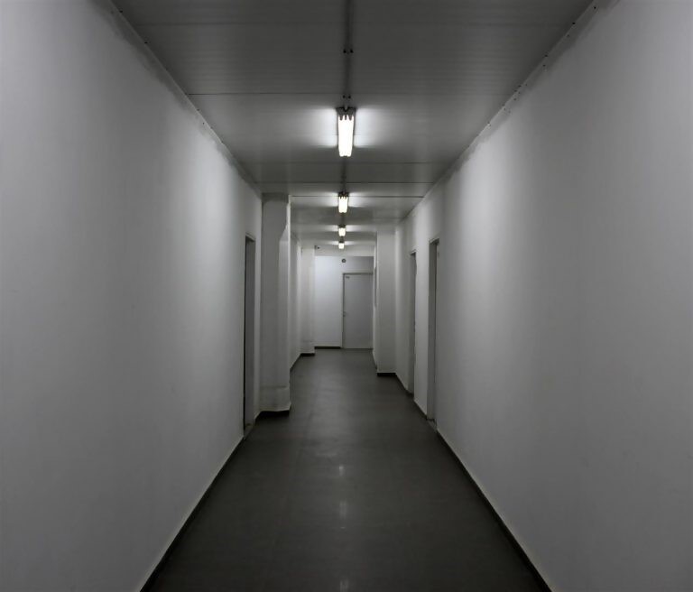 The New Gallery Artists’ Studio Teddy, photo: Revital Cohen