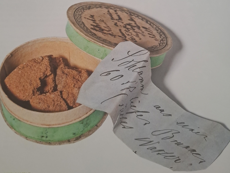 דגימת בוץ, שנאספה באדלייד אוסטרליה, 1850 לערך, אוסף ארנברג, מיקרופליאונטולוגיה: 3219, המוזיאון להיסטוריה של הטבע, ברלין